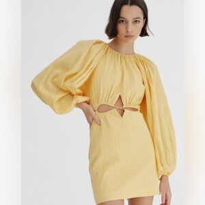 NWT Significant Other Arwyn dress